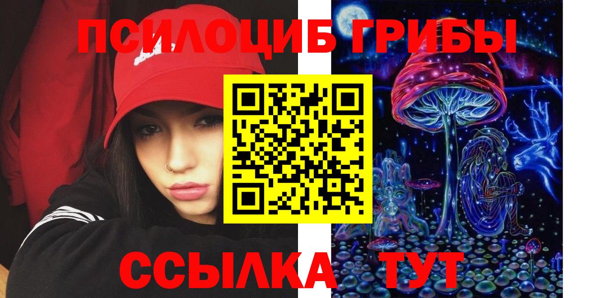 Галлюциногенные грибы Psilocybine cubensis Северск