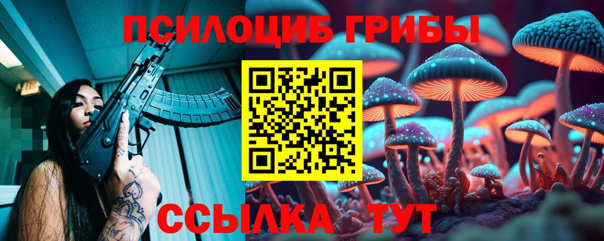 Галлюциногенные грибы Cubensis  Псилоцибиновые грибы ЛСД  Вход с VPN  Северск 