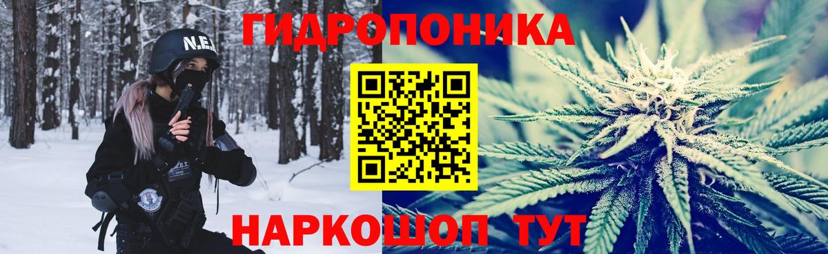 Шишки марихуана сатива  Вход с VPN  Марихуана White Widow  Северск  Шишки марихуана семена 